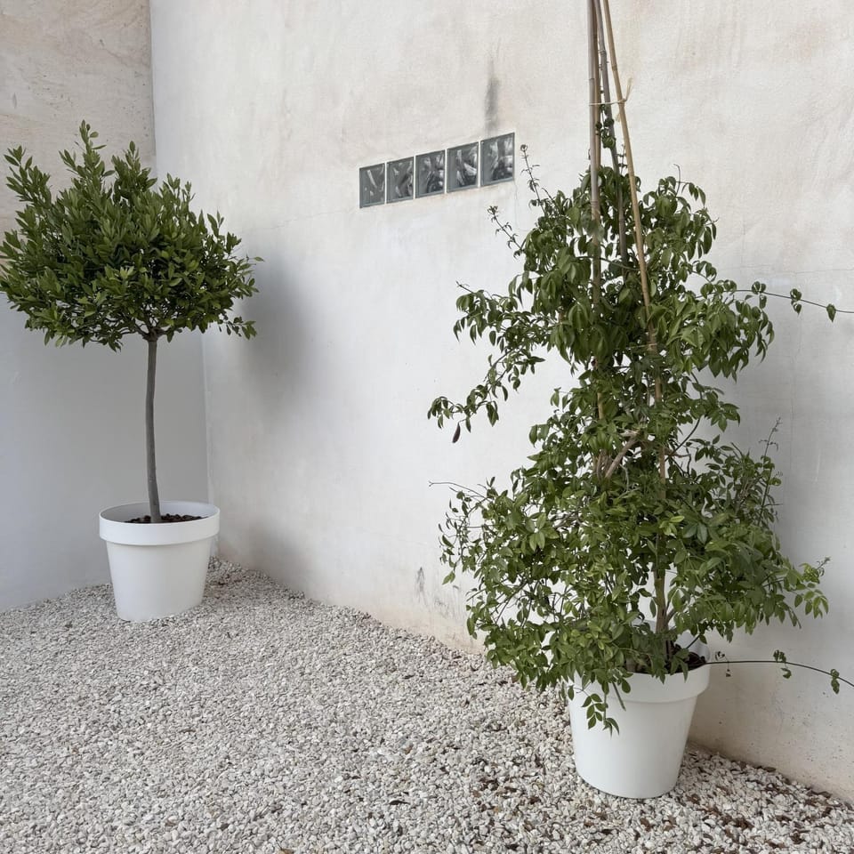 Garden, Garden, Garden view