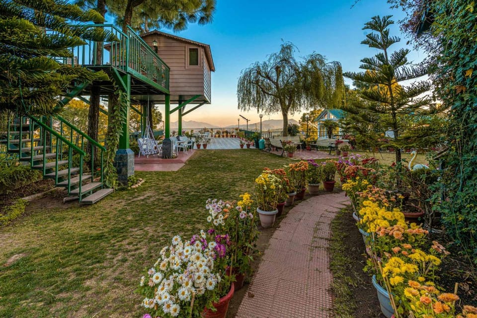 Garden view