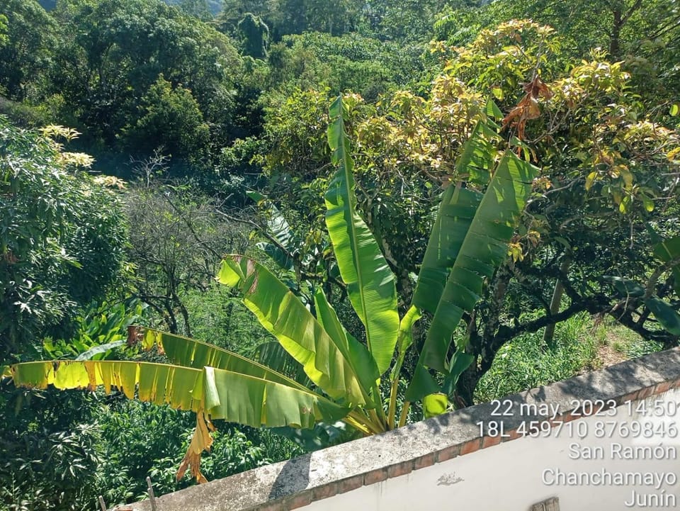 Natural landscape