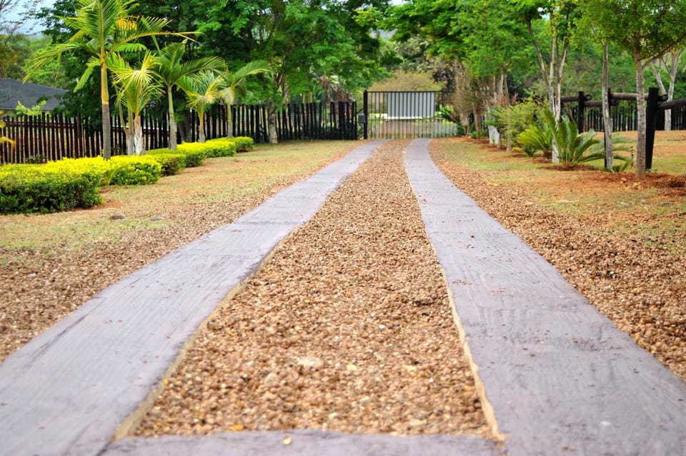 Facade/entrance, Garden