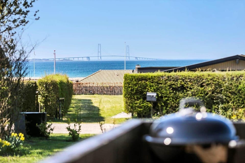 SL310-Slagelse-Birkevej-49 House in Zealand