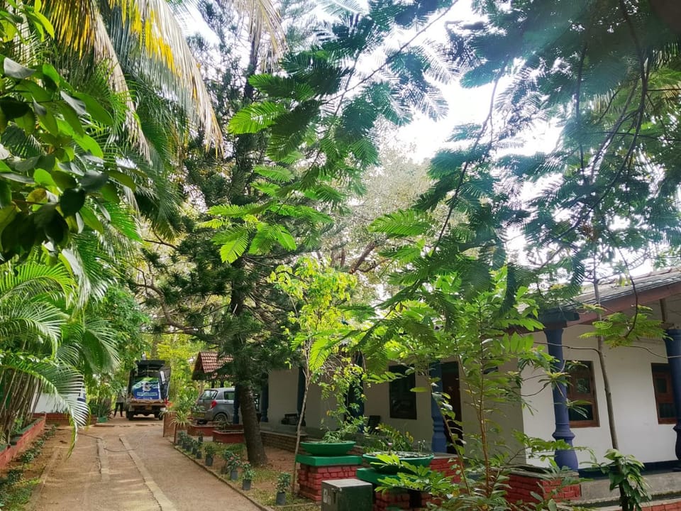 Property building, Spring, Day, Neighbourhood, Natural landscape, Garden, Garden, Garden view, Street view, Parking
