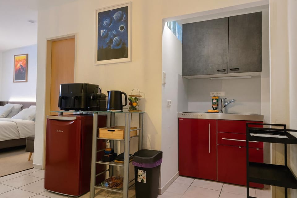 Premium Budget Studio Apartment in Trier
