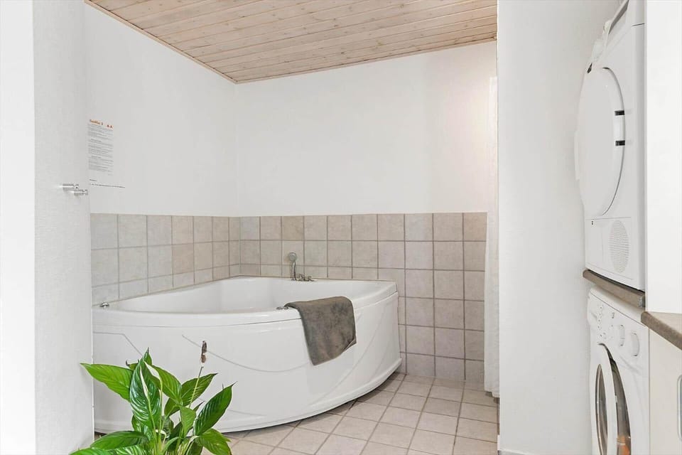 TV1583-Albaek-Musvagevej-160 House in Denmark