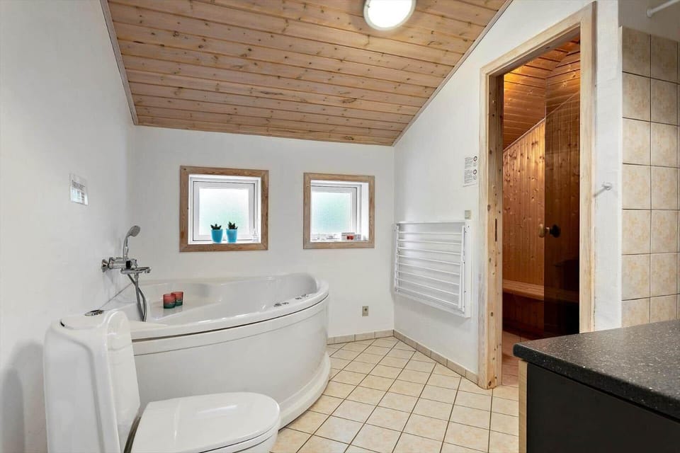 TV1347-Albaek-Musvagevej-126 House in Denmark