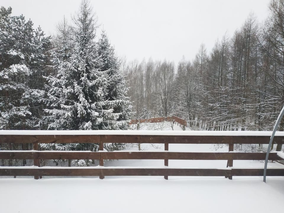 Natural landscape, Winter