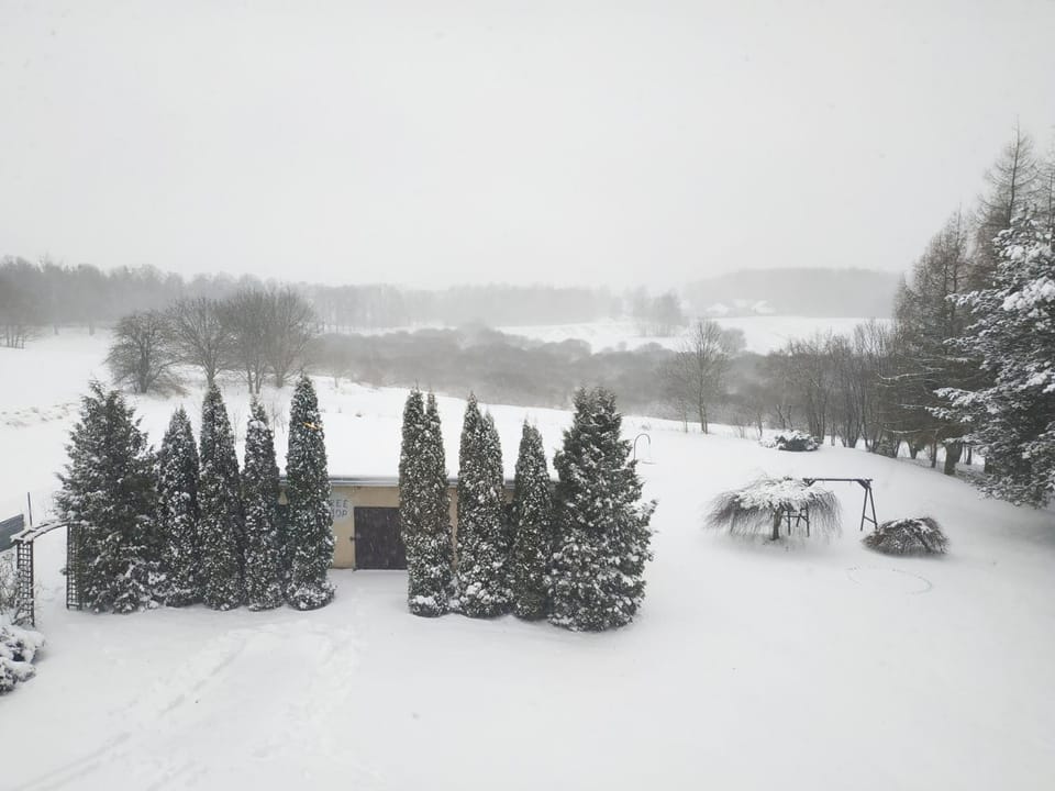 Natural landscape, Winter