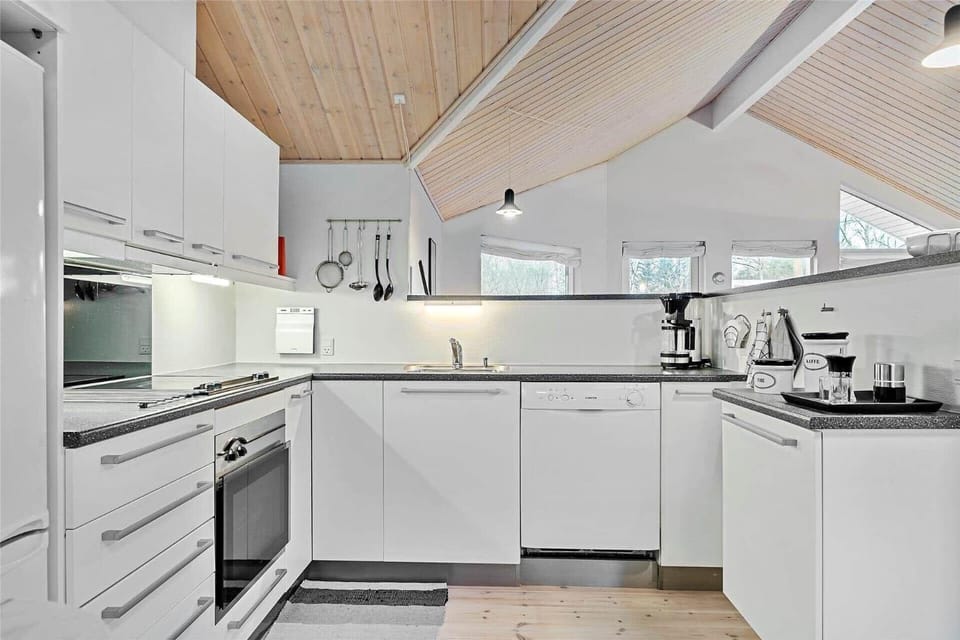 TV1329-Albaek-Musvagevej-72 House in Denmark
