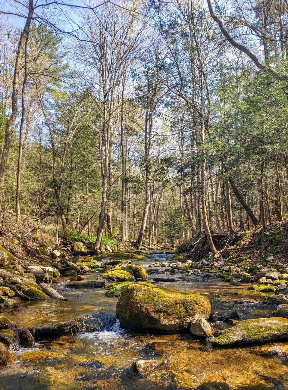 Day, Natural landscape, River view