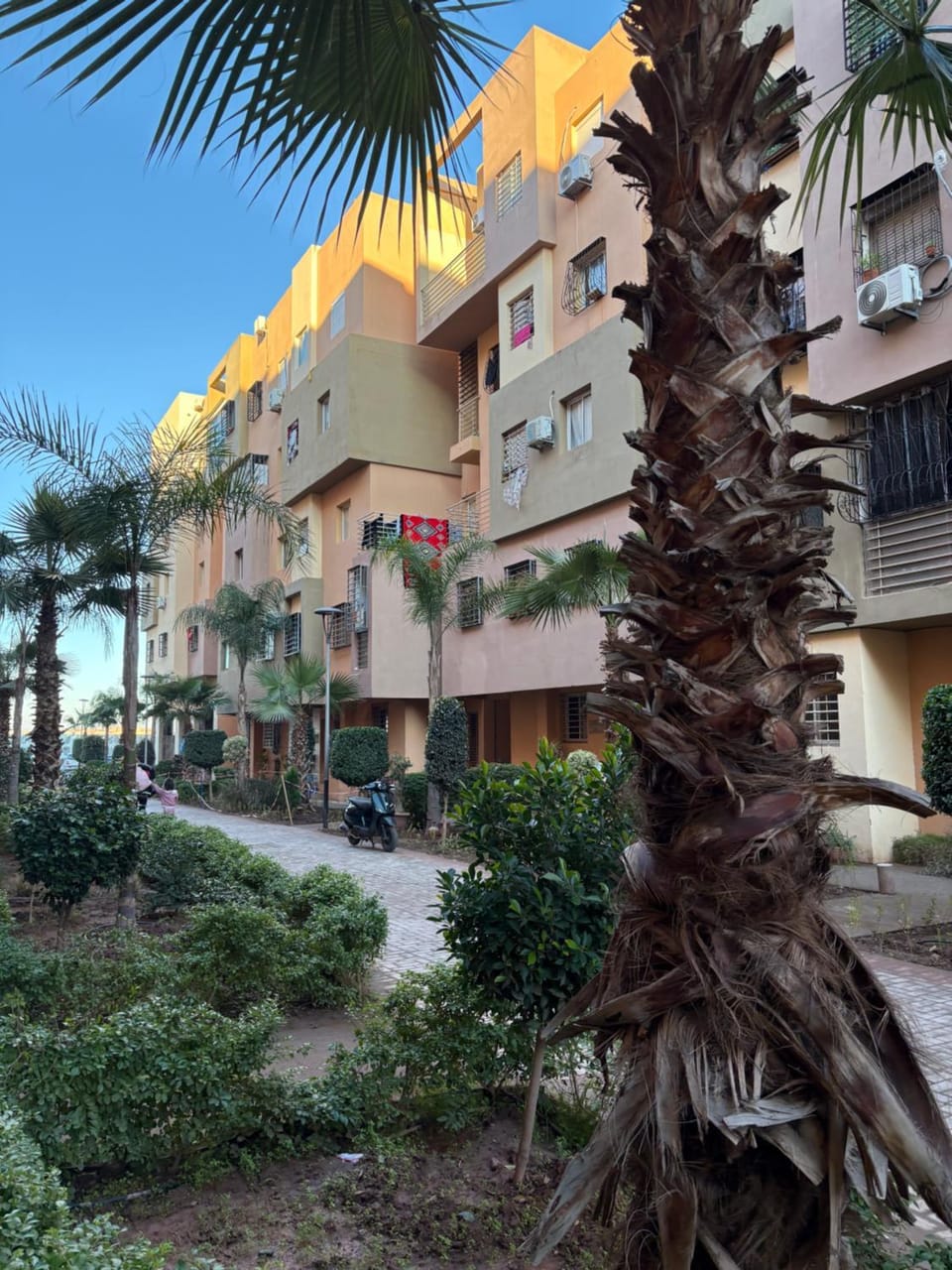 Les jardins de Carlota Apartment in Marrakesh