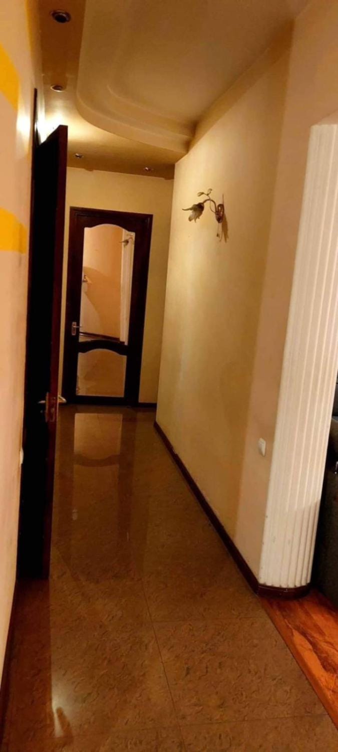 Spacious apartment in the heart of Tbilisi at the best price Apartment in Tbilisi, Georgia