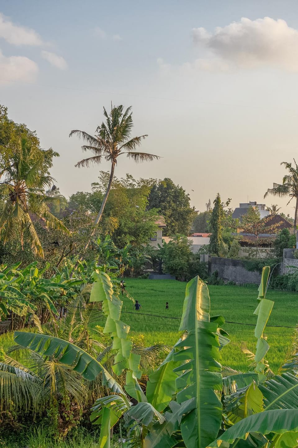 Natural landscape, Garden view