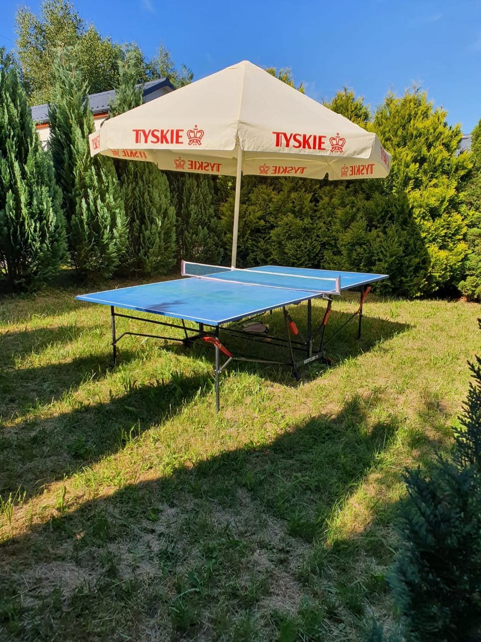 Table tennis