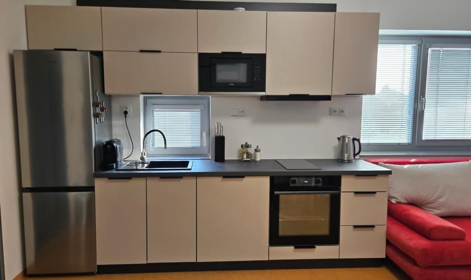 Coffee/tea facilities, Kitchen or kitchenette, dishwasher, minibar, oven, stove