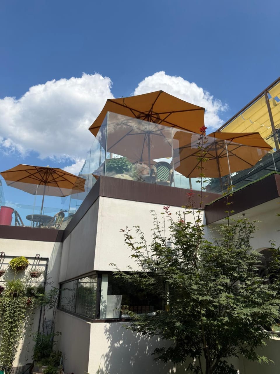 WeLight逐光旅舍百花深处胡同店 Hotel in Beijing