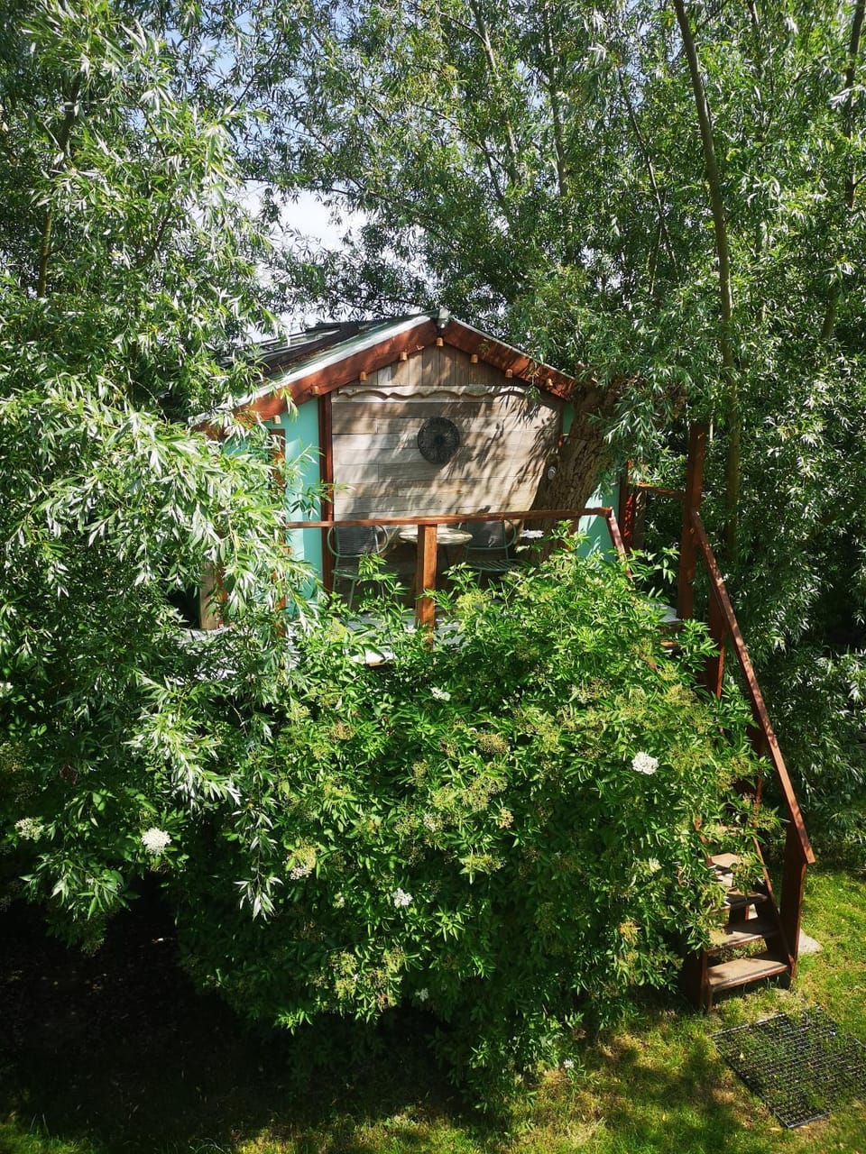 Sweet Treehouse Nature lodge in North Holland (province)