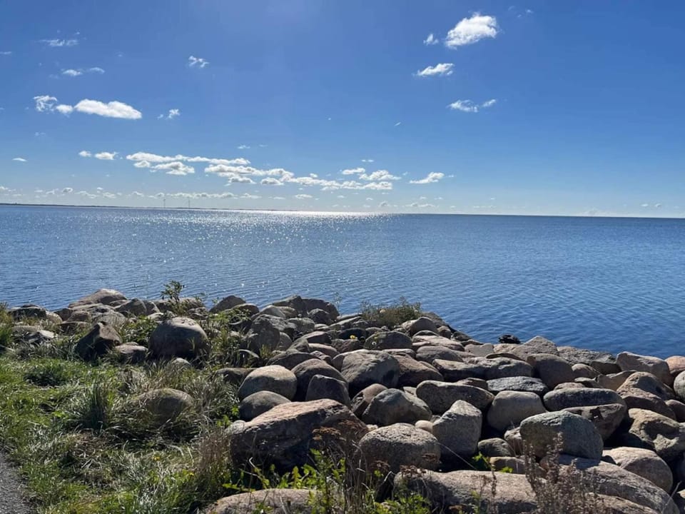 Lake view