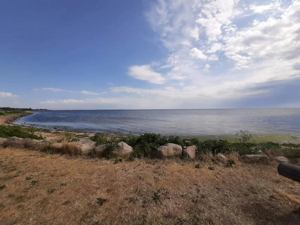 Lake view