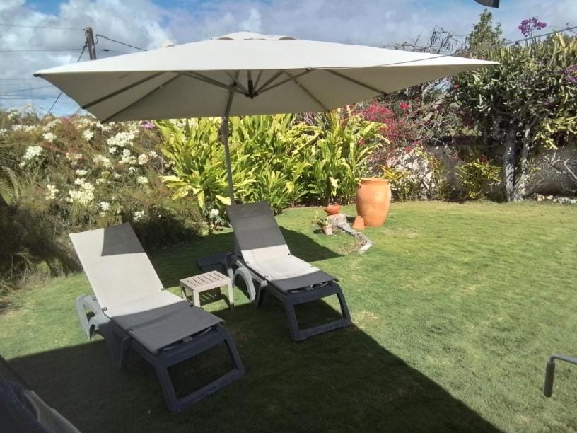 Garden view