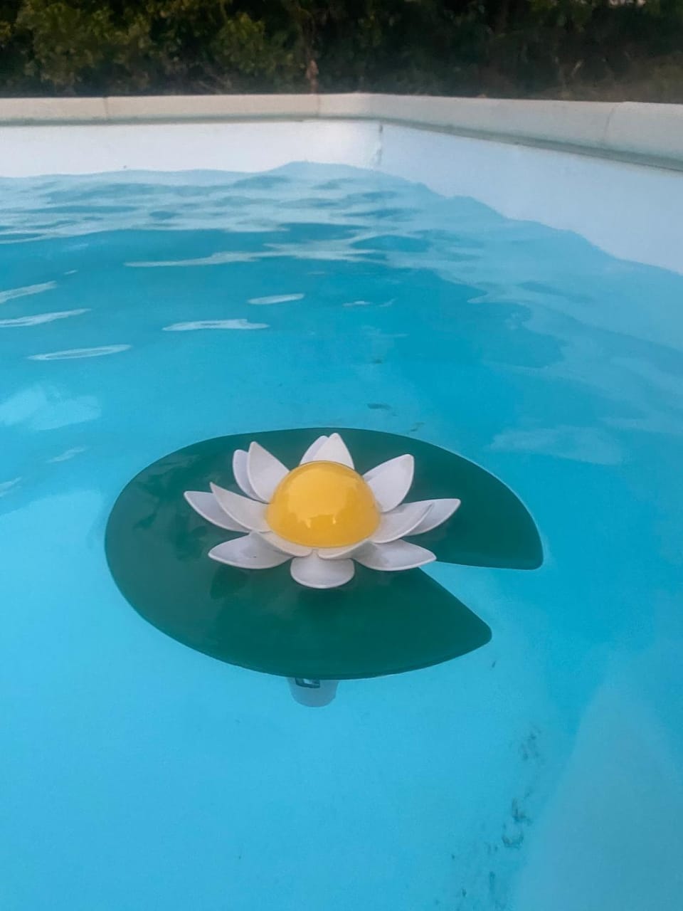 Day, Natural landscape, Pool view, Swimming pool