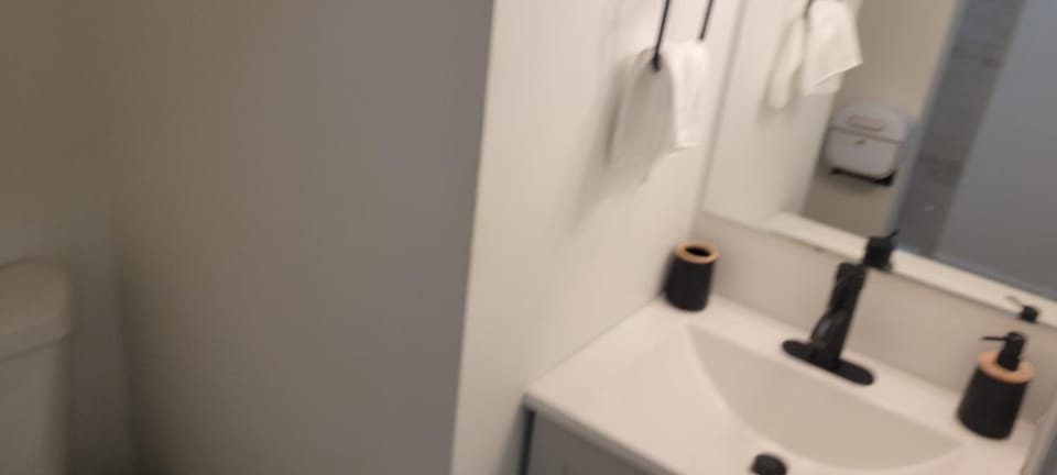 Cozy Studio Walk to Shops, Quick Drive to DC Apartment in Fairland