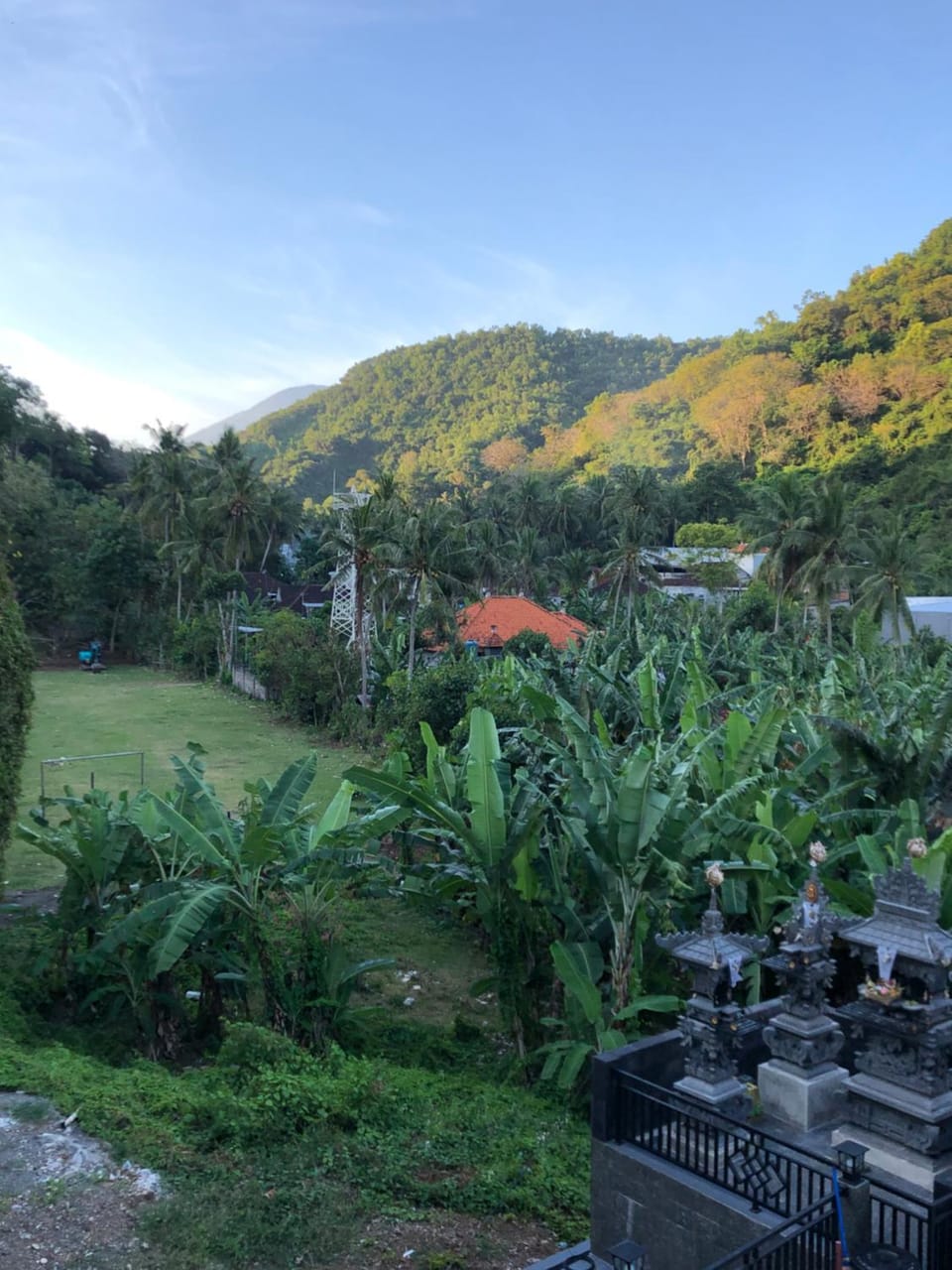 Garden view