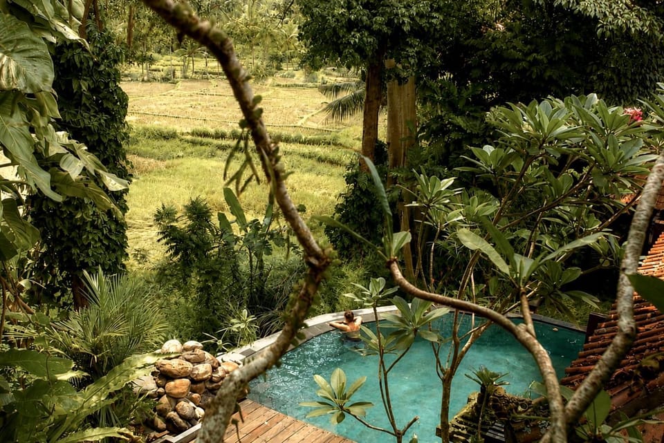 Garden, Garden view, Landmark view, Pool view, Swimming pool