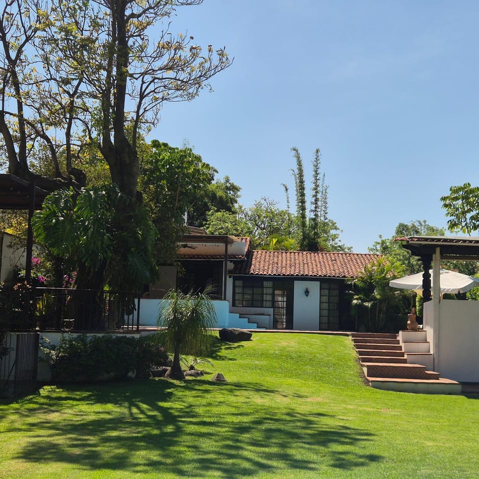 Garden view