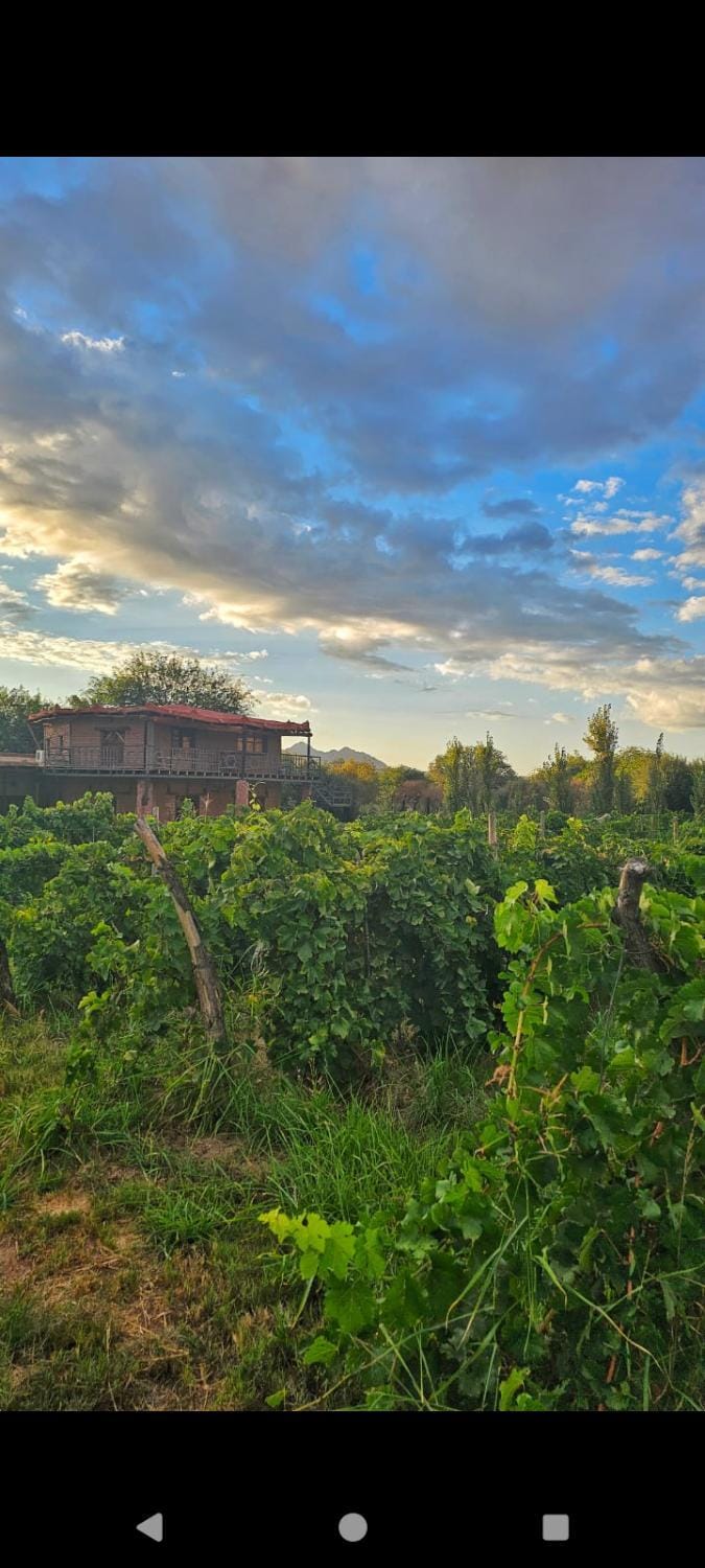 Della monica Bed and Breakfast in La Rioja Province, Argentina