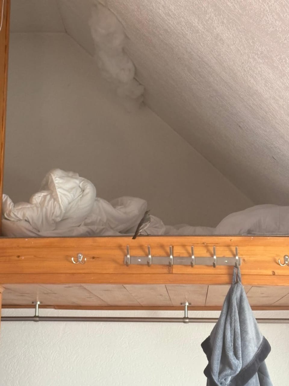 Sky Harmony Penthouse mit Wasserbett, Jacuzzi und Grill Hostel in Villingen-Schwenningen