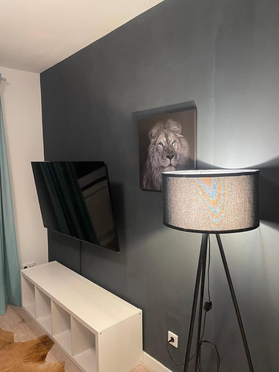 TV and multimedia