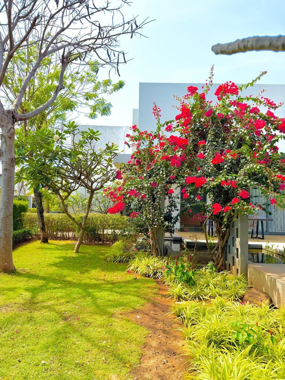 Garden, Garden