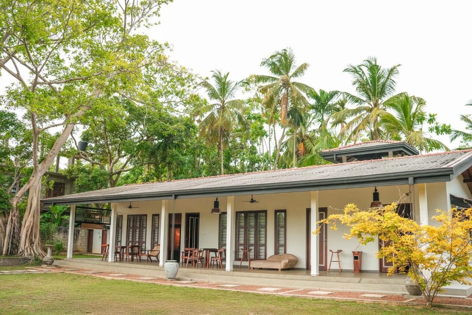 Property building, Garden, Garden, Garden view