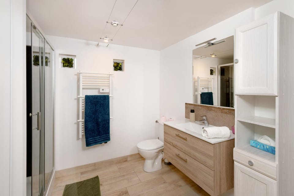 Shower, Toilet, Bathroom, towels, washing machine