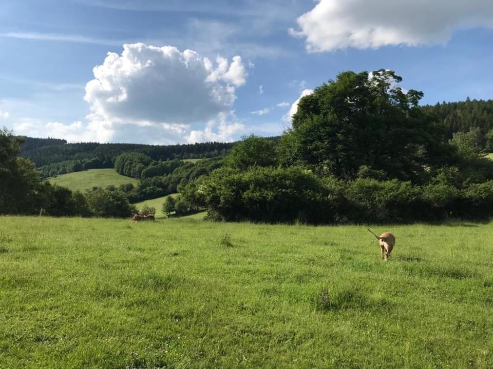Natural landscape, Mountain view