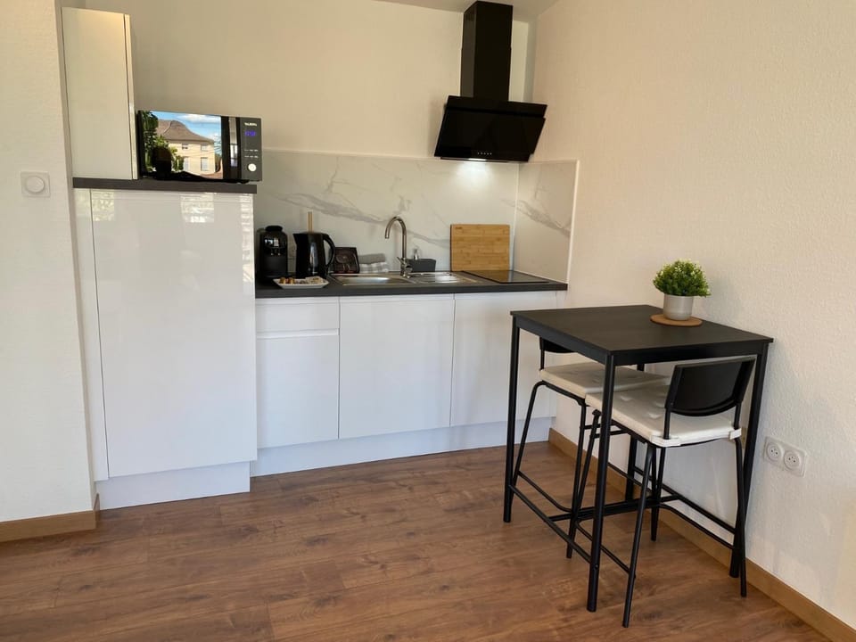 Studio climatisé 30 m2 à 2 min de Colmar Apartment in Colmar