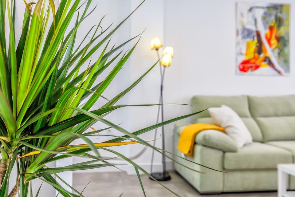 Living room, Decorative detail, Seating area