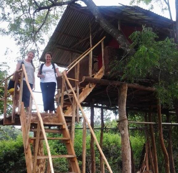 Safari Homestay Campground/ 
RV Resort in Dambulla