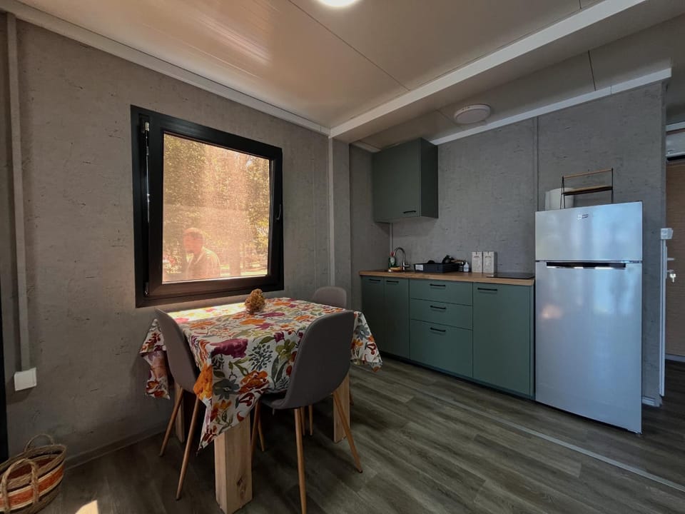 Kitchen or kitchenette, Dining area, stove