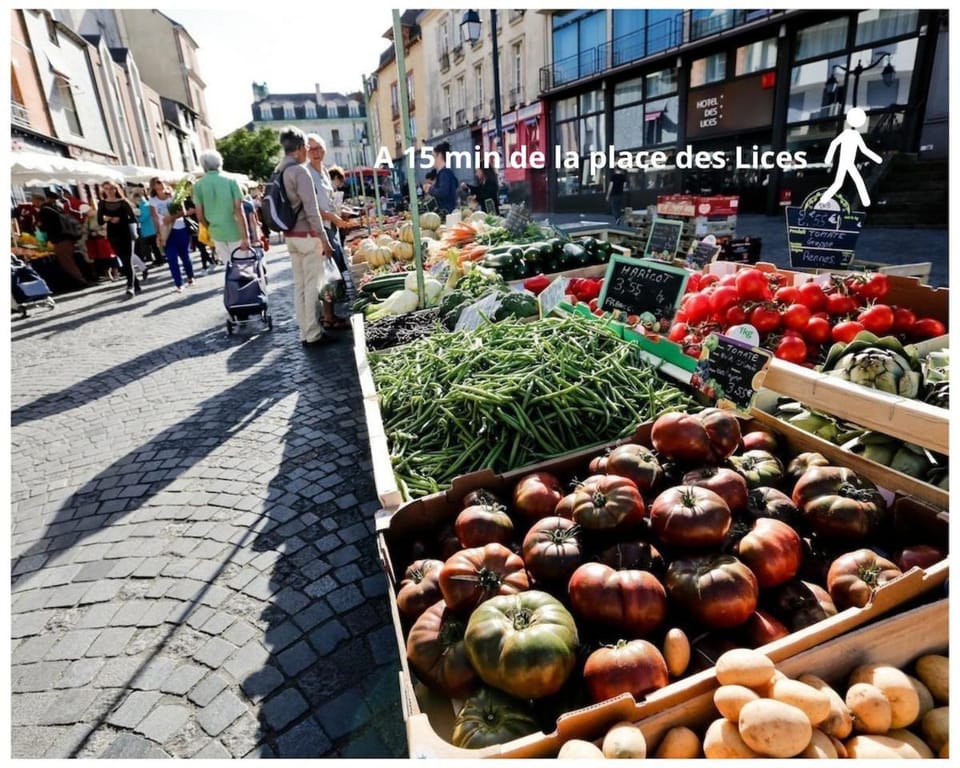 KingDom, joli studio RENNES Anatole France Apartment in Rennes