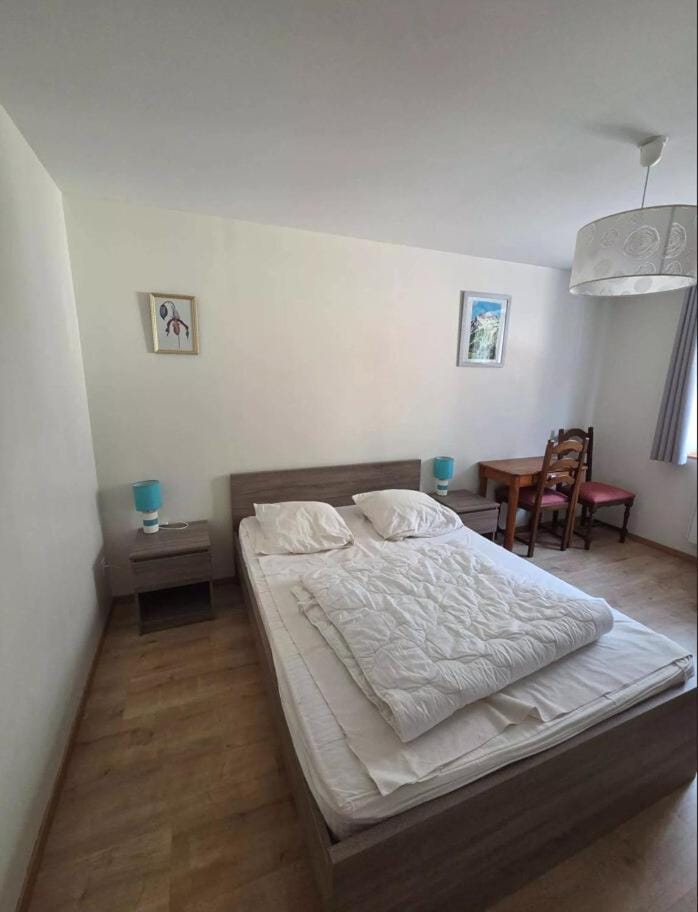 Résidence 105 Rue Plaine - Appartement 4 pièces - 8 personnes MAE-1883 Apartment in Auvergne-Rhône-Alpes