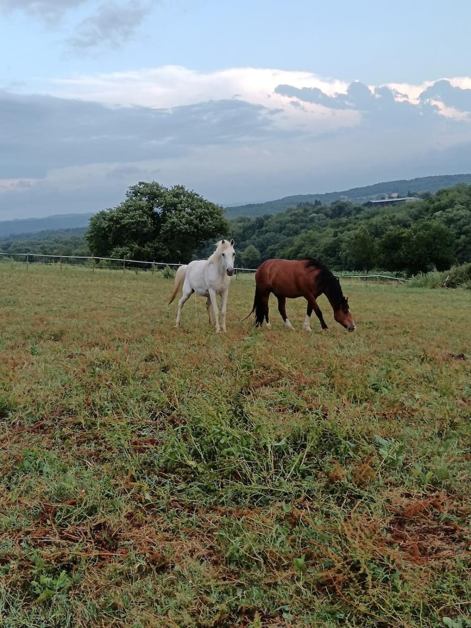 Grand espace 140m2 dans ferme familiale House in Occitanie