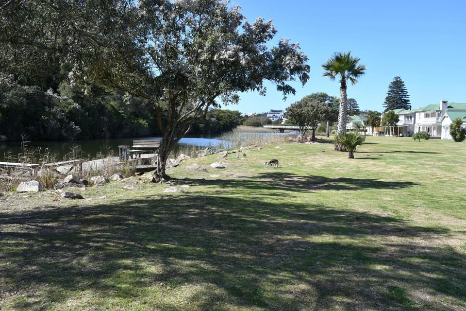 Garden, River view