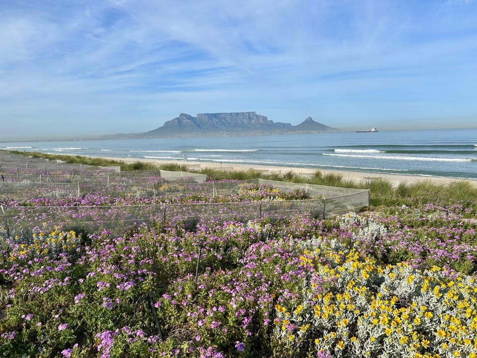 Beach, Mountain view