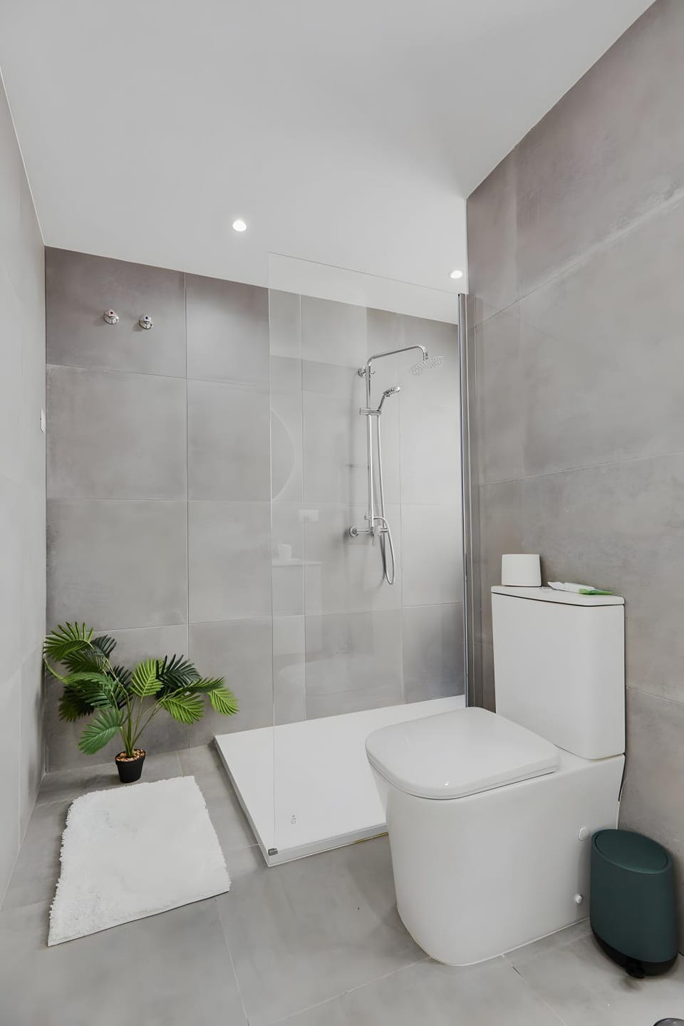 Bathroom, Living room