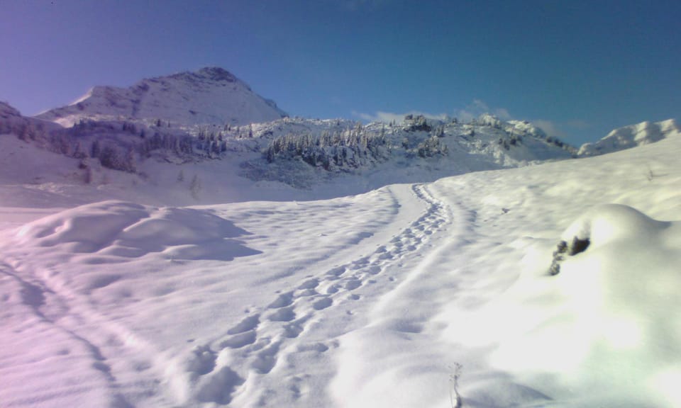 Natural landscape, Winter