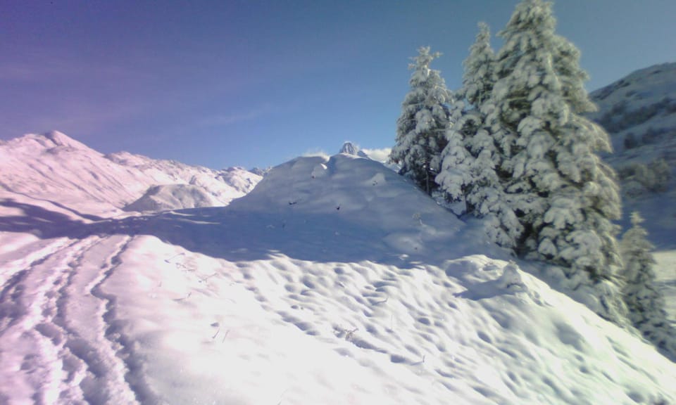 Natural landscape