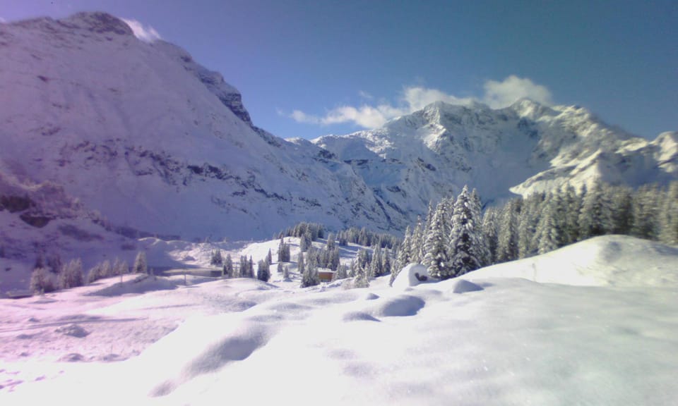 Natural landscape