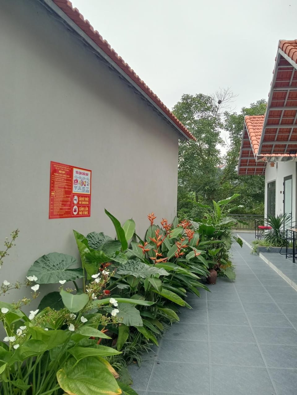 Property building, Spring, Day, Garden, Garden view