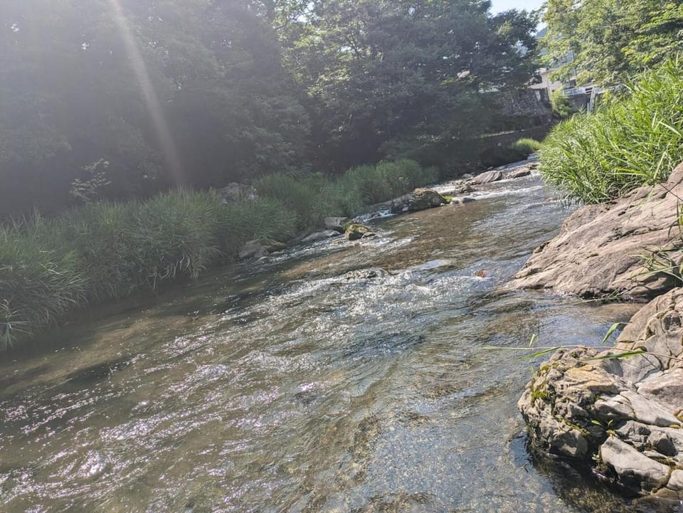 Agano Hanno City Perfect for river play and hiking Relax in a 160 year old private home rented out as a whole Apartment in Saitama Prefecture